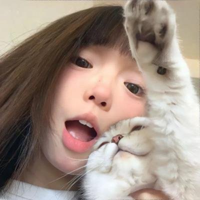 太空狗与涡轮猫